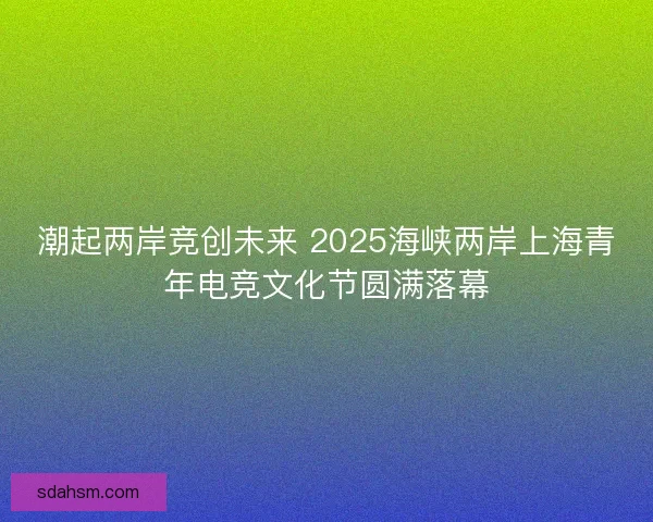 潮起两岸竞创未来 2025海峡两岸上海青年电竞文化节圆满落幕